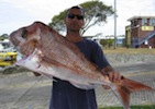 Moreton Island Fishing Charters Beautiful Big Snapper